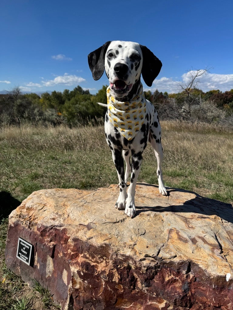 Colorado Dog Bandana
