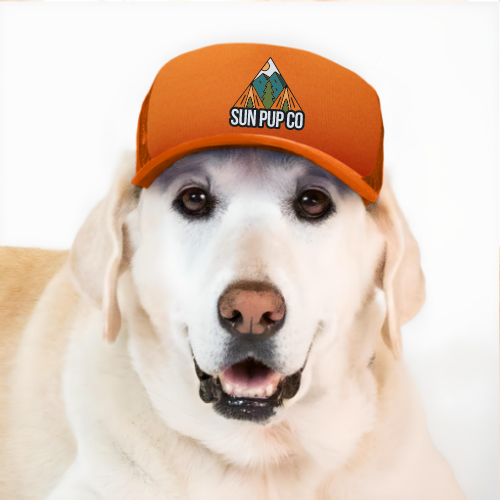 Crest Dog Hat