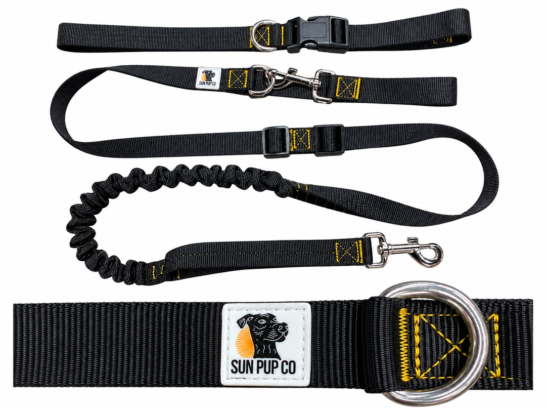 Roam 2-in-1 Leash | Handheld or Hands-Free