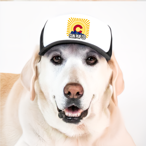 CO Dog Hat