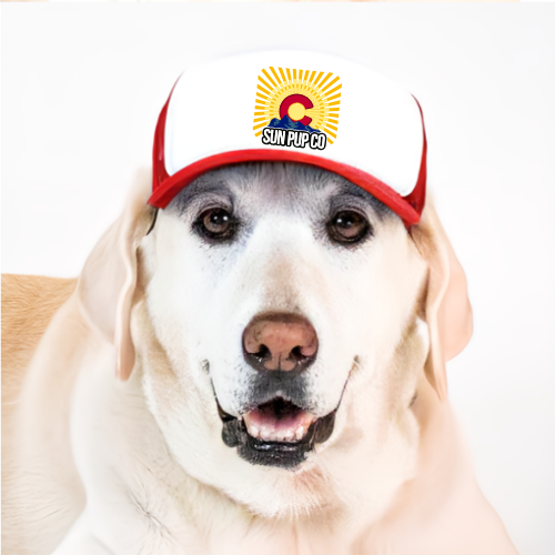 CO Dog Hat