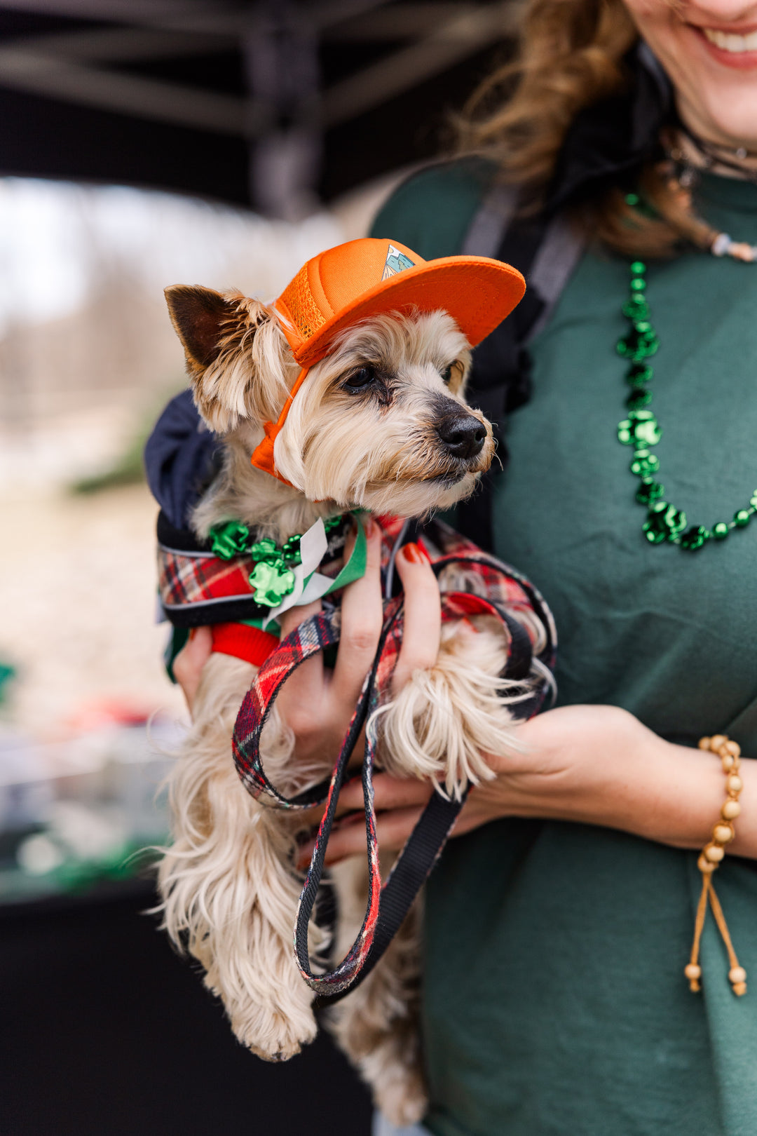 Person holding a small dog wearing an orange hat and plaid shirt with a green background.