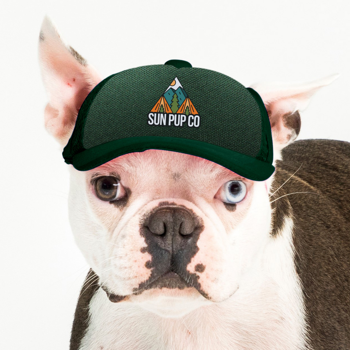 Crest Dog Hat